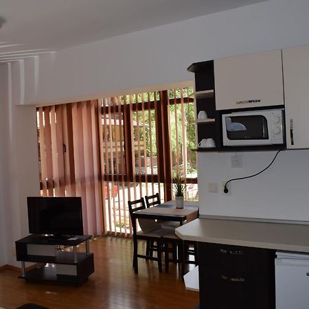 Alpin Residence Σινάια Εξωτερικό φωτογραφία