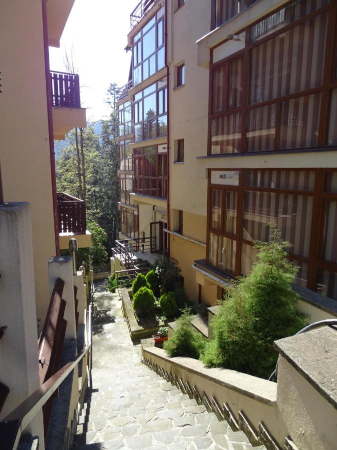 Alpin Residence Σινάια Εξωτερικό φωτογραφία