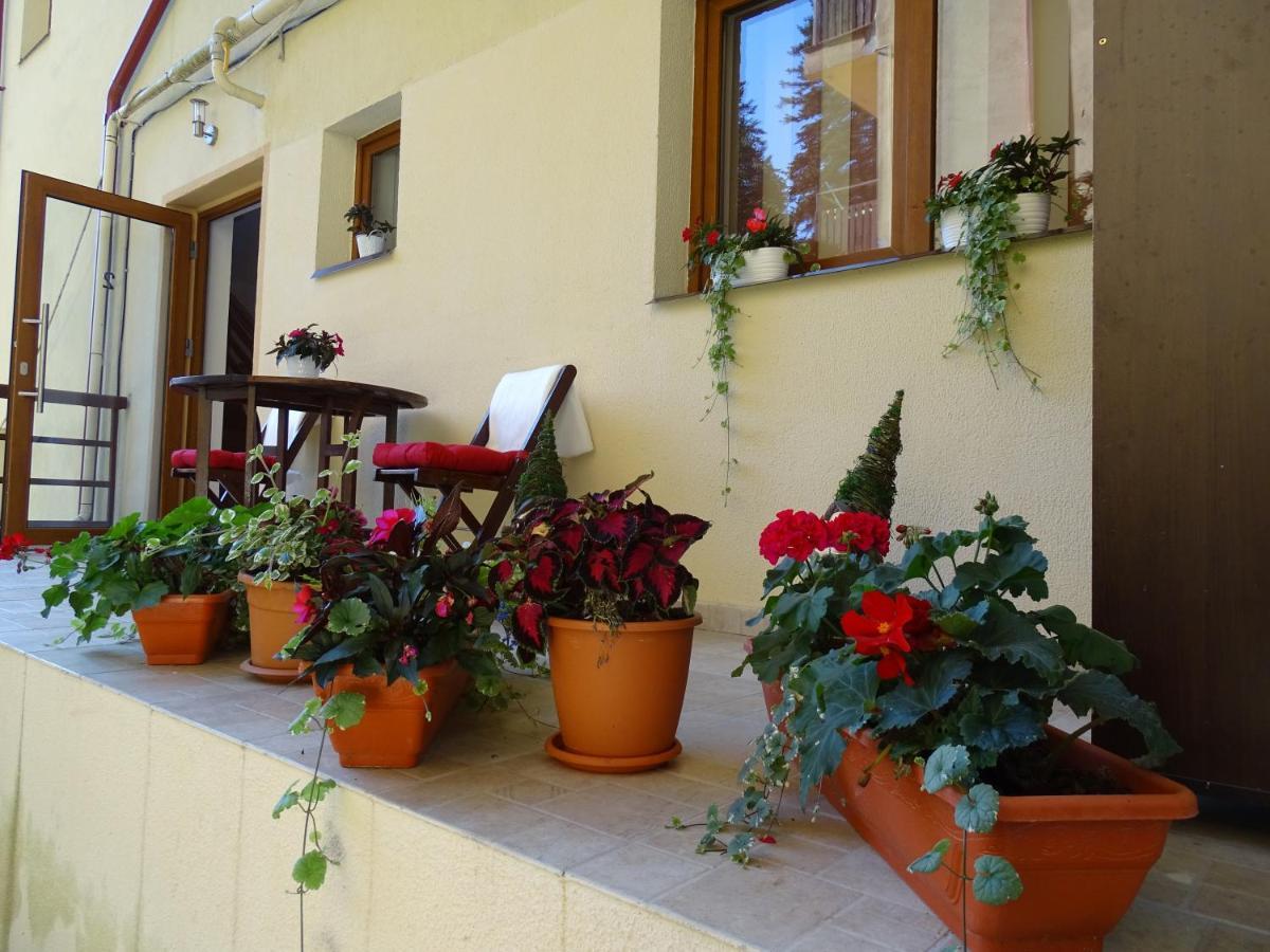 Alpin Residence Σινάια Εξωτερικό φωτογραφία
