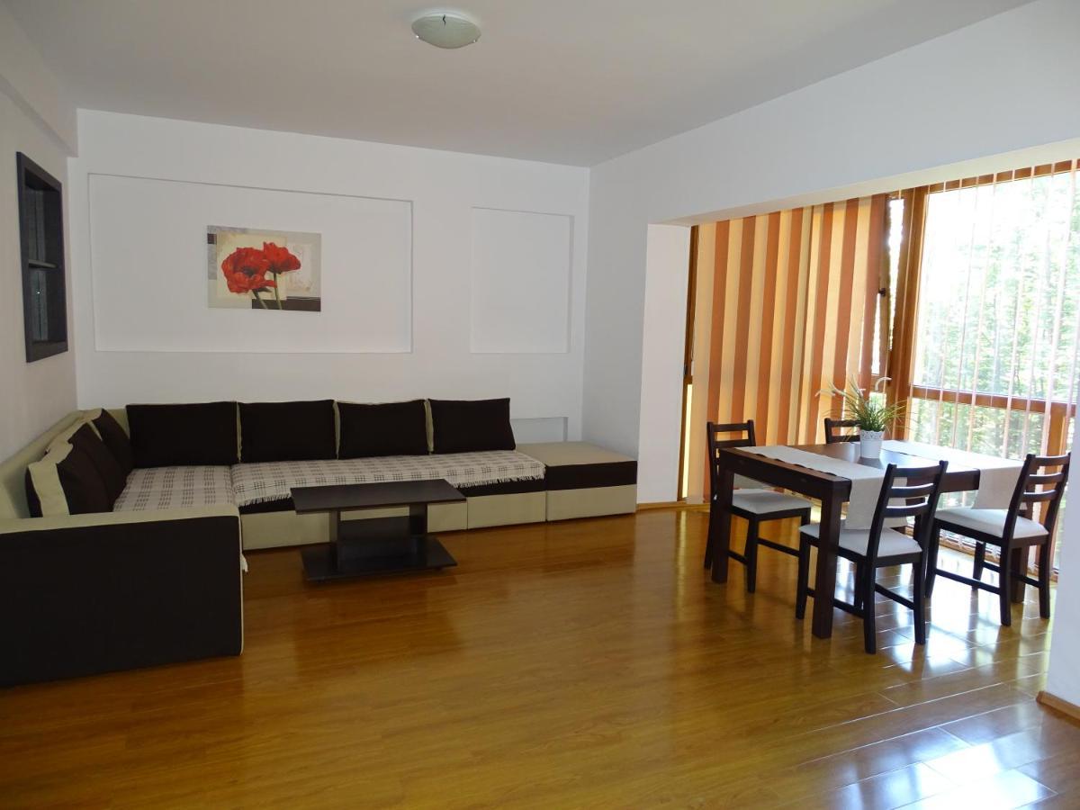 Alpin Residence Σινάια Εξωτερικό φωτογραφία