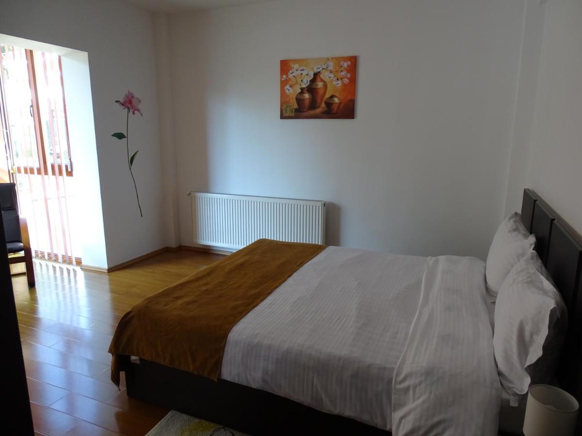 Alpin Residence Σινάια Εξωτερικό φωτογραφία