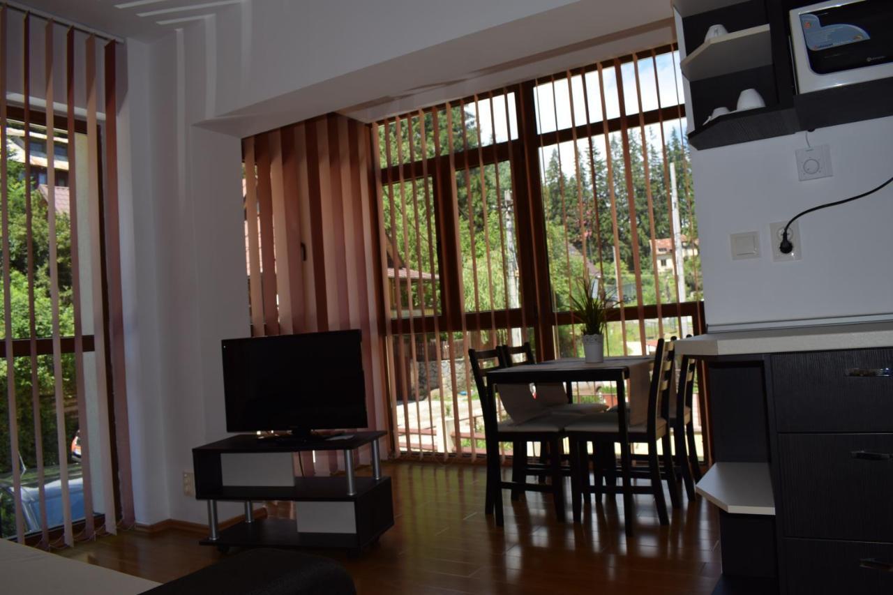 Alpin Residence Σινάια Εξωτερικό φωτογραφία