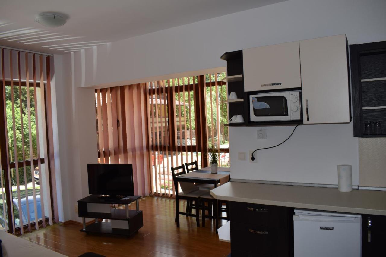 Alpin Residence Σινάια Εξωτερικό φωτογραφία