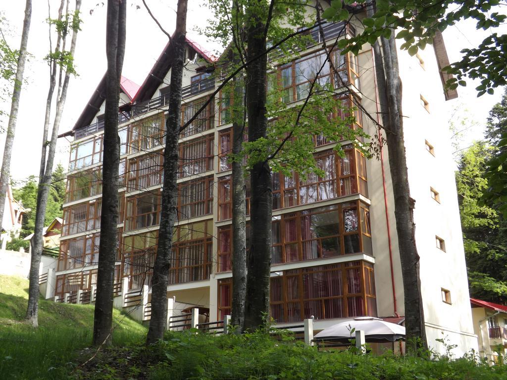 Alpin Residence Σινάια Εξωτερικό φωτογραφία